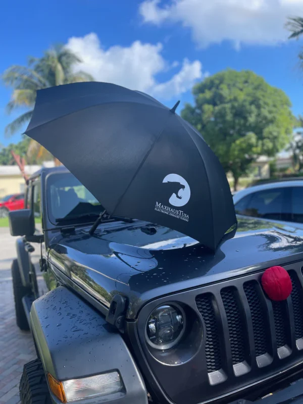 Umbrella